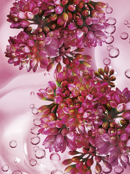 Image And Products