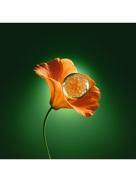 Image And Products