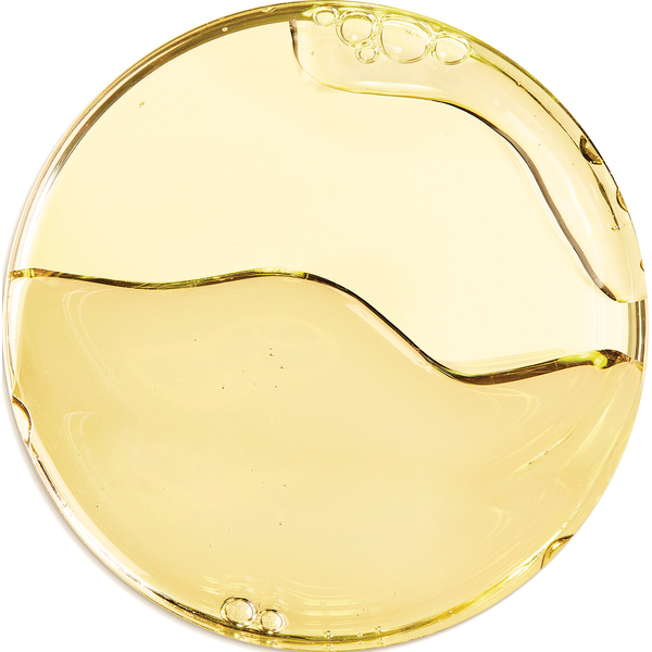 The Bi-Phased Night Recovery Concentrated Serum, 30 ml