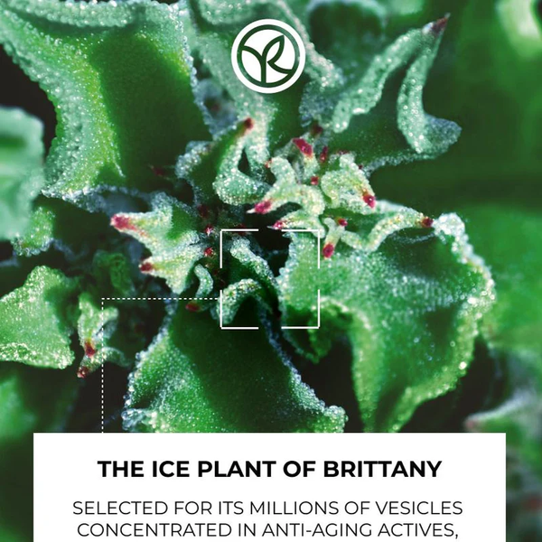 Lift Pro Collagene - Anti-Wrinkle Intense Care, 75 ml