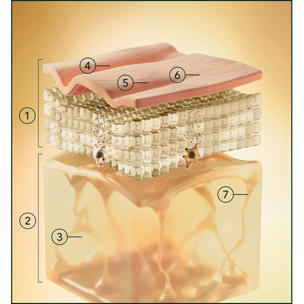 ΔΙΟΡΘΩΤΙΚΗ ΚΡΕΜΑ ΝΥΚΤΟΣ 50ml