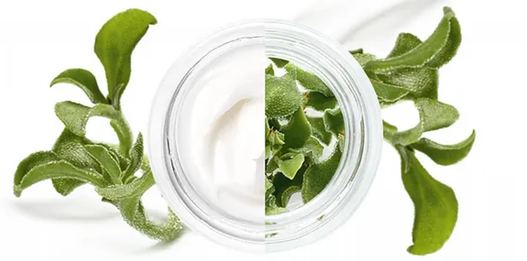 Botanical Beauty: Το μέλλον της ομορφιάς