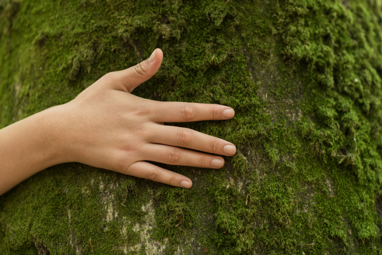 Το ίδρυμα Yves Rocher